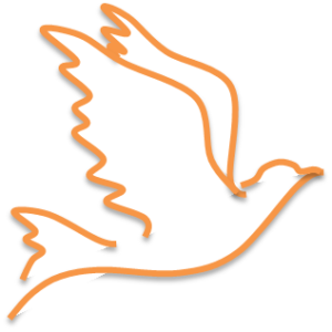 Bird outline icon