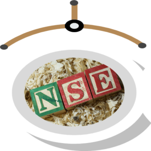 NSE logo at dynamic live